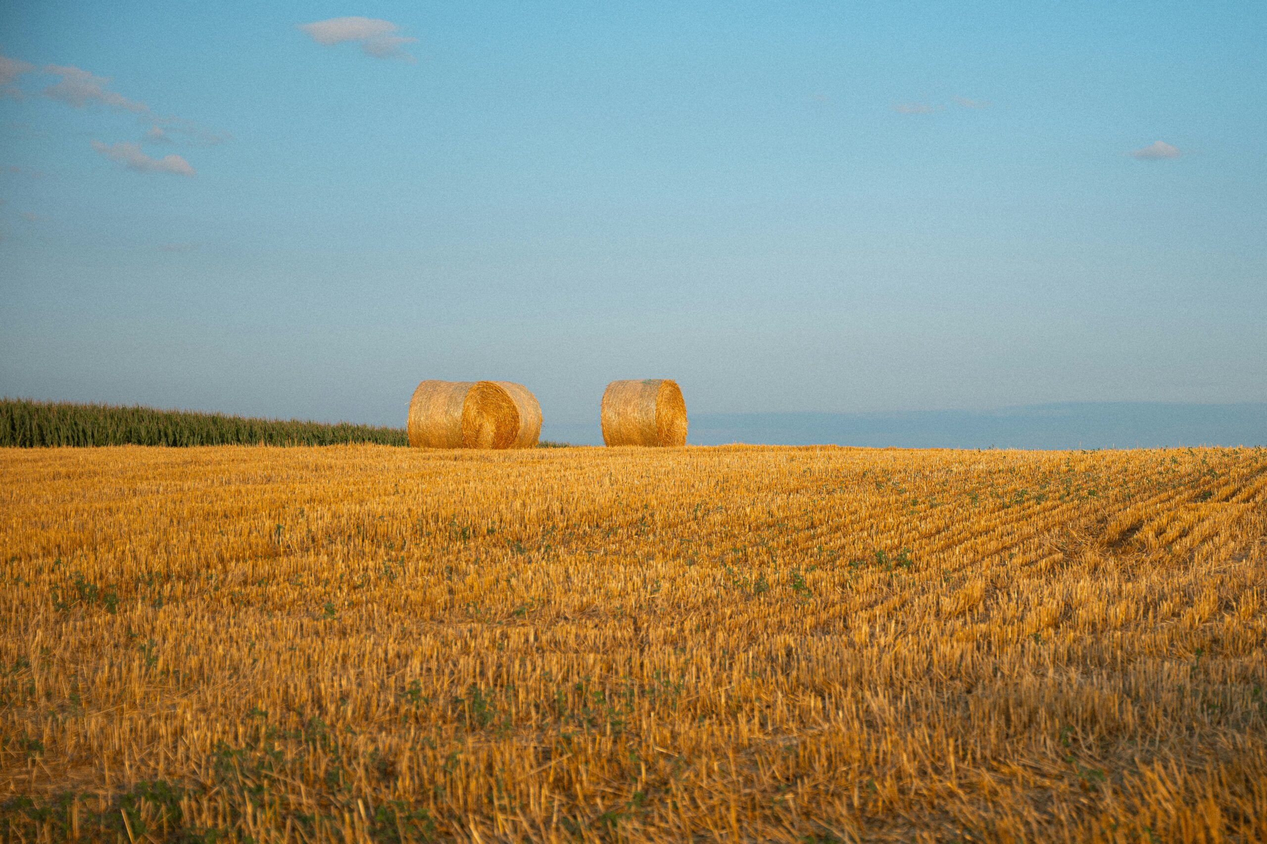 découvrez tous les services de crédit agricole à folelli : comptes bancaires, assurances, prêts et conseils financiers.