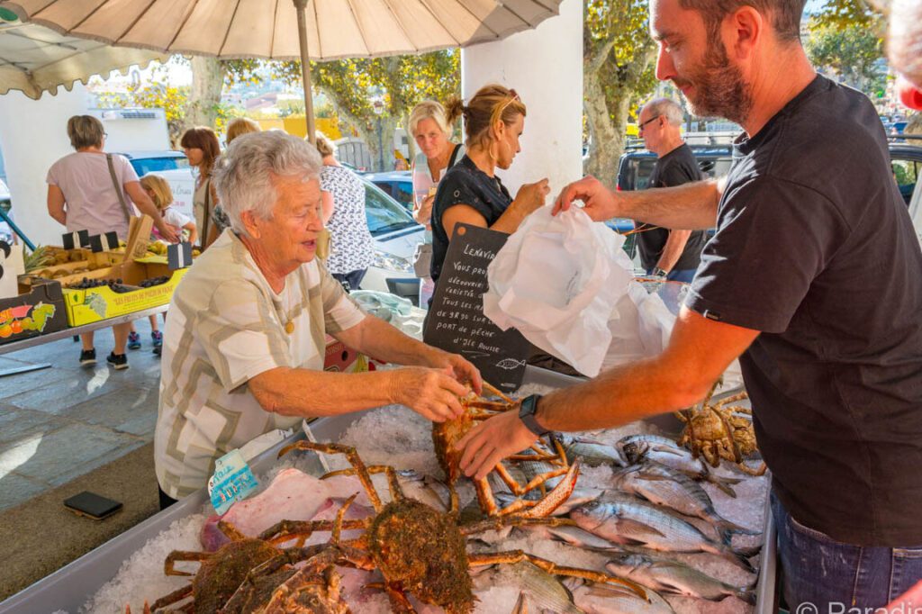 Quels sont les marchés incontournables à Calvi pour les professionnels ?