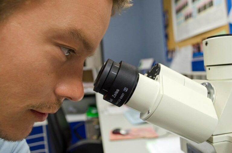 Quelles études pour faire de la recherche pharmaceutique ?