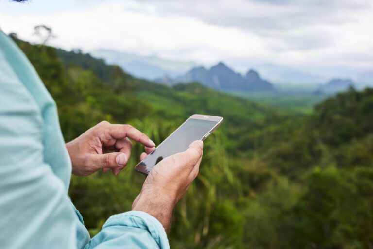 Investir dans les arbres : un investissement écoresponsable et durable avec Treesition