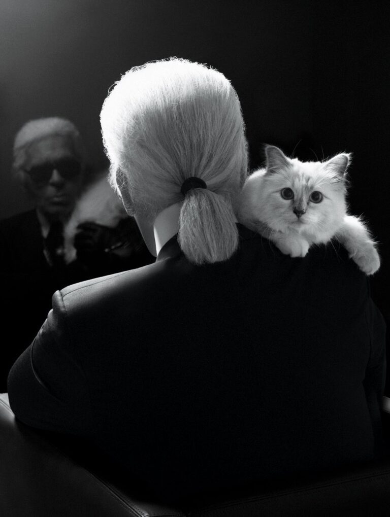 Photo de Karl Lagerfeld avec sa célèbre chatte Choupette posée sur ses genoux, illustrant le concept de Choupette Shop.