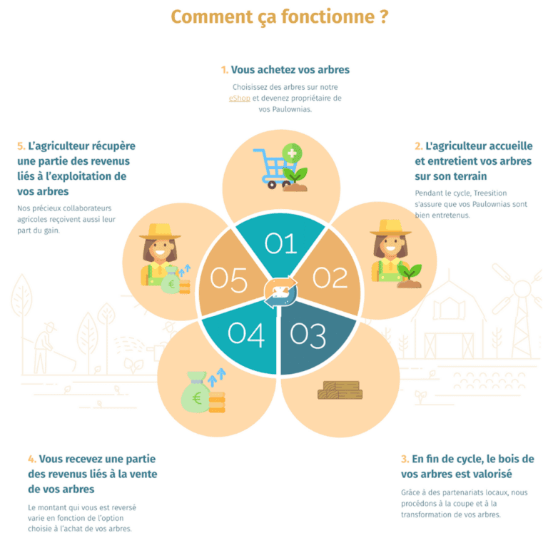 Vue d'ensemble de Treesition, une startup d'investissement durable dans les arbres