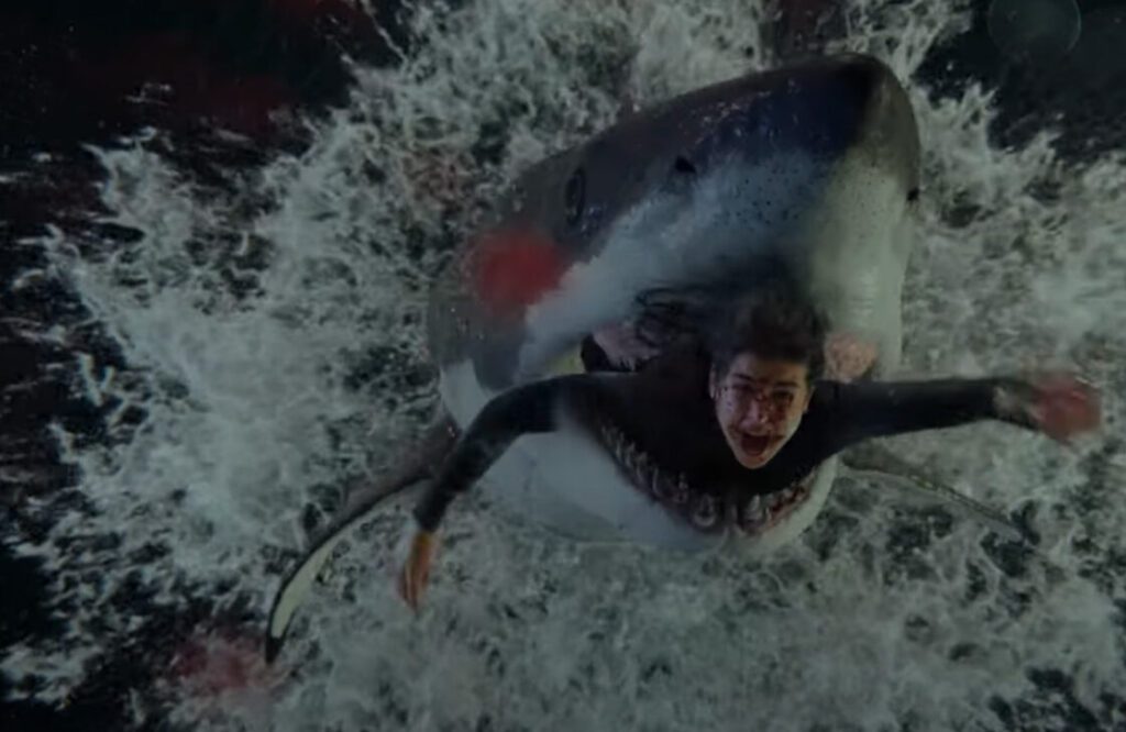 Comment s’appelle quelqu’un qui étudie les requins ?