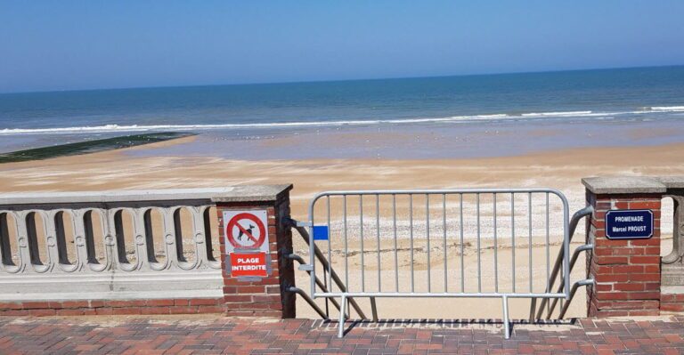 Comment le marché de Cabourg booste-t-il l&rsquo;économie locale ?