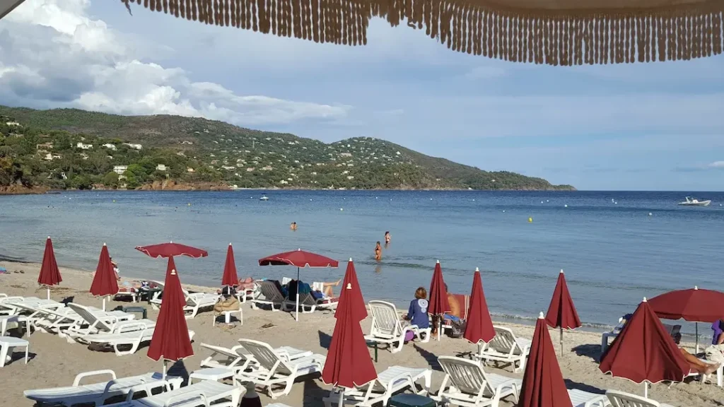 Marchés à La Londe-les-Maures : découvrez les meilleurs spots pour vos emplettes locales