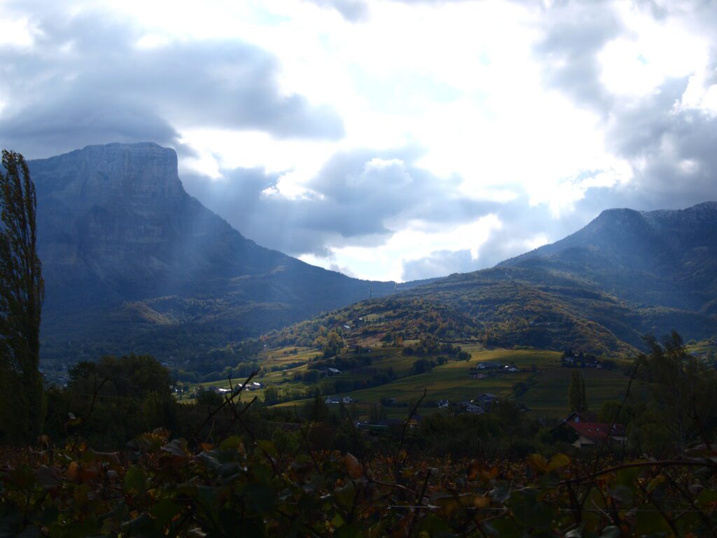 Vue panoramique des vignes à Apremont en Savoie en automne