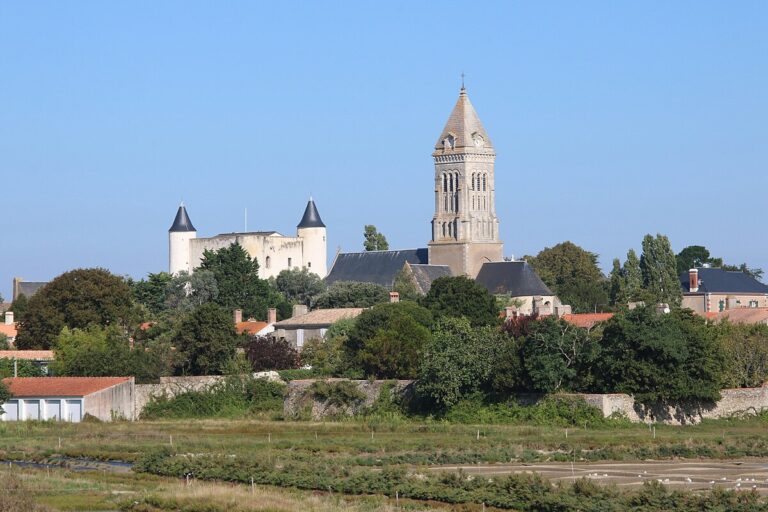 Vue pittoresque de Noirmoutier-en-l'Île, île vendéenne avec ses maisons blanches et ses marais