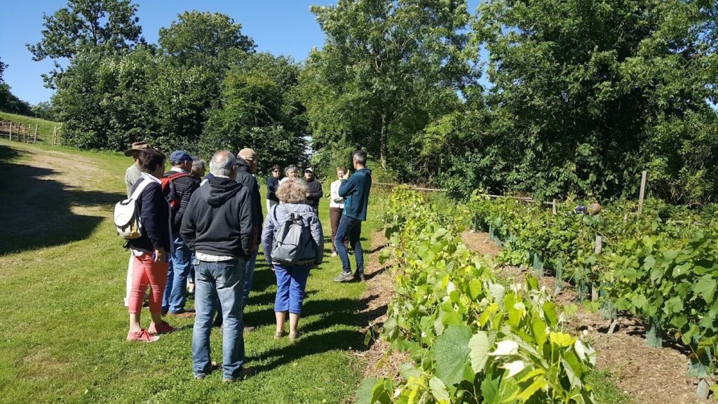 Vue aérienne emblématique de Sèvremont illustrant le cadre de vie de la commune vendéenne