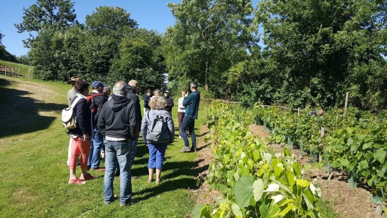 Vue aérienne emblématique de Sèvremont illustrant le cadre de vie de la commune vendéenne