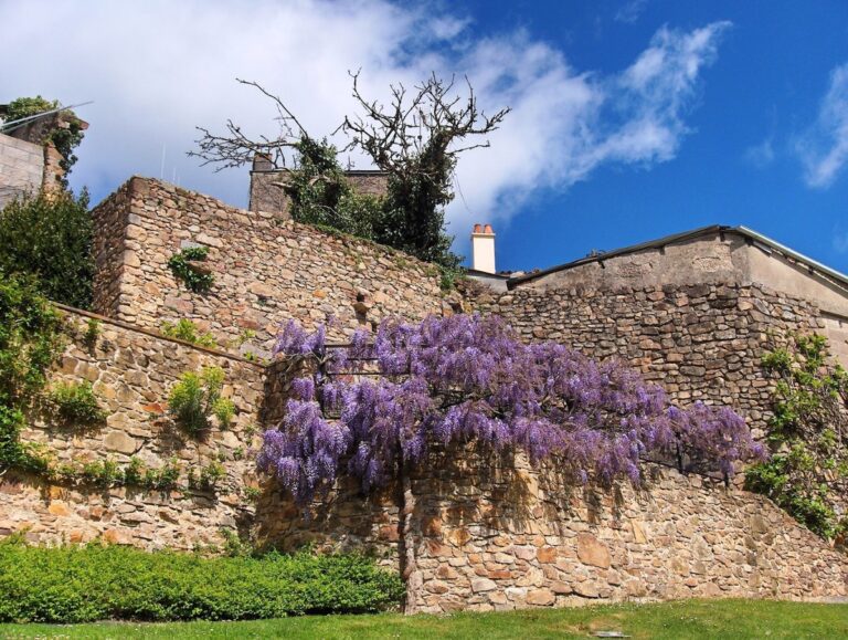 Vue panoramique de Beaulieu-sous-la-Roche dans le département de la Vendée