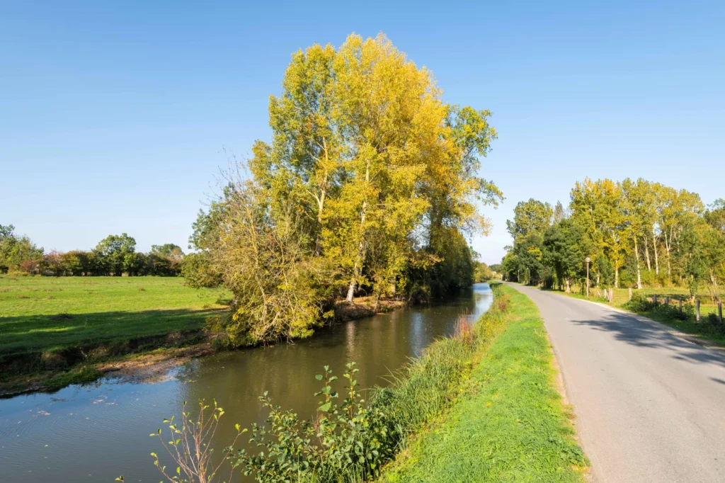 Vue pittoresque du village du Mazeau dans le Marais Poitevin