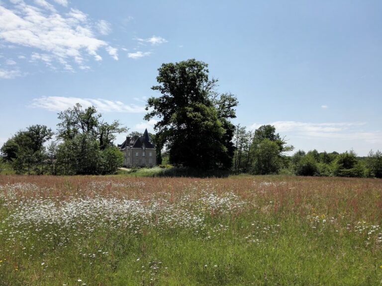 Vue panoramique de Mouilleron-le-Captif, illustrant la commune du code postal 85000