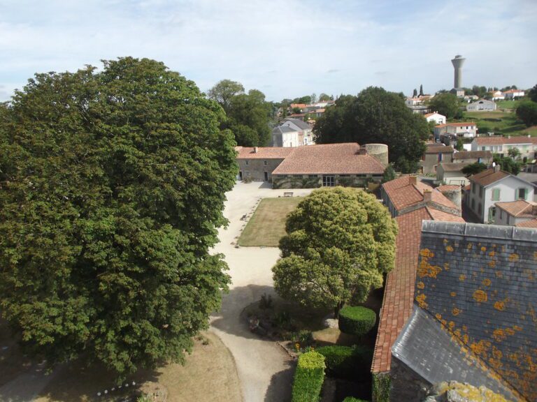 Vue panoramique de La Chapelle-Palluau mettant en valeur son environnement naturel et ses habitations