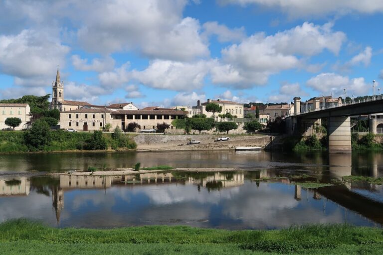 Vue panoramique de Port-Sainte-Foy depuis Sainte-Foy-la-Grande en Dordogne, illustrant le cadre de vie typique et les communes portant le nom Sainte-Foy en France