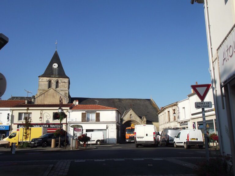 Vue panoramique de Sallertaine mettant en valeur son architecture typique en Vendée