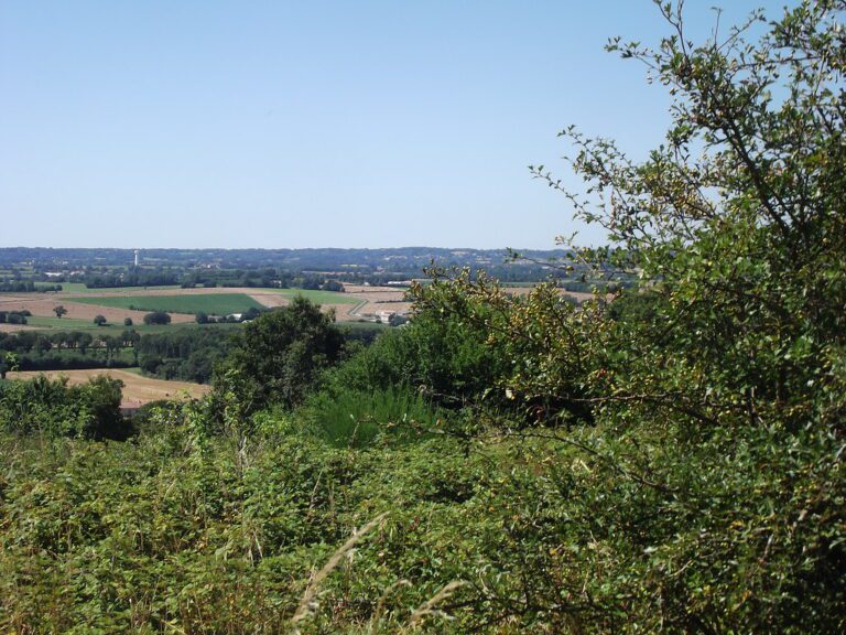 Vue aérienne du village de La Caillère-Saint-Hilaire avec ses paysages et habitations typiques du code postal 85410
