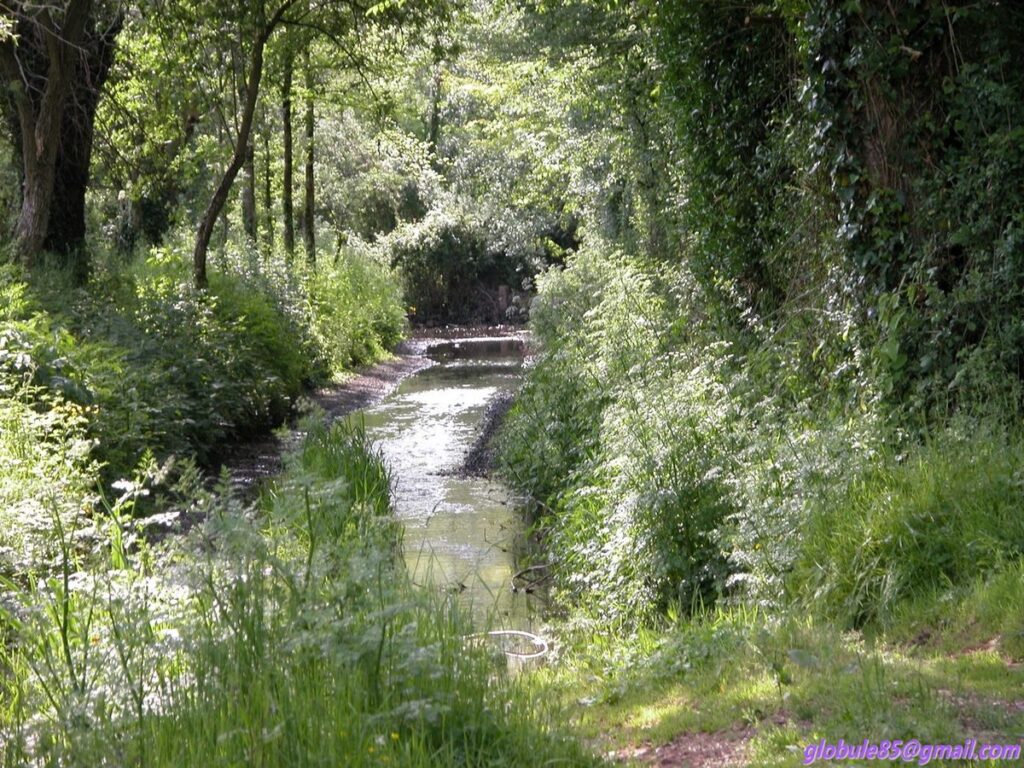 Vue du village de Le Givre en Vendée, cadre rural typique du département 85540