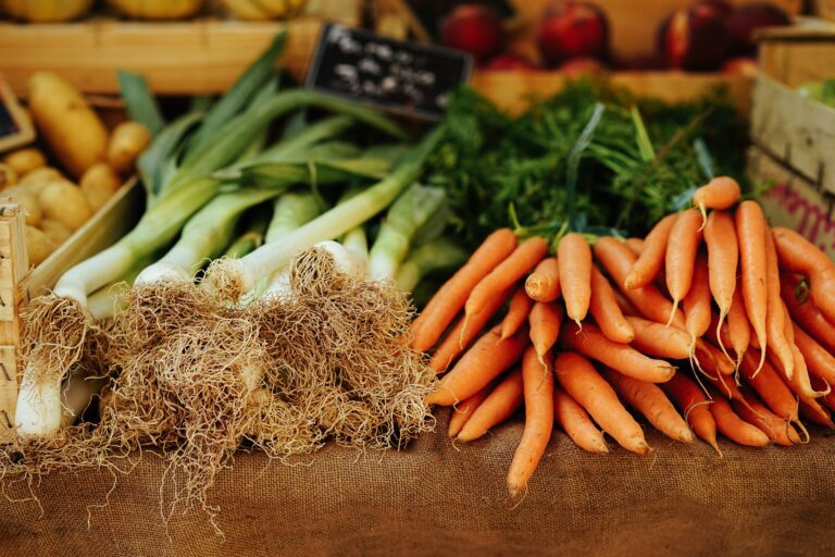Les secrets du marché de Boulogne : un incontournable pour les gourmets de la région