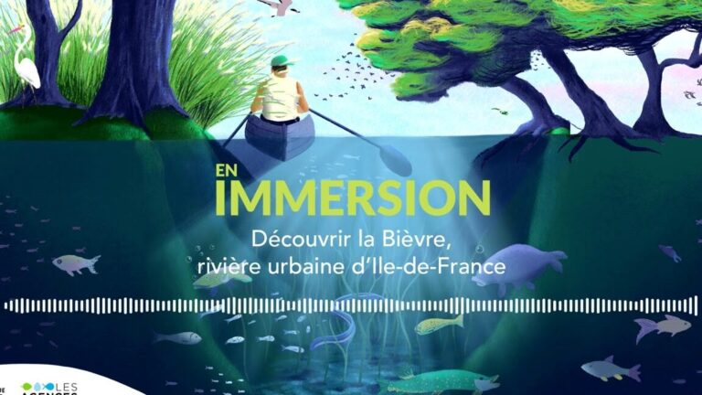 Comment l&rsquo;eau agglo carene transforme la gestion urbaine des ressources hydriques ?