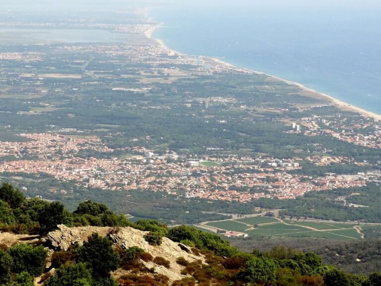 Quel impact a le code postal d&rsquo;Argelès-sur-Mer sur l&rsquo;économie locale ?