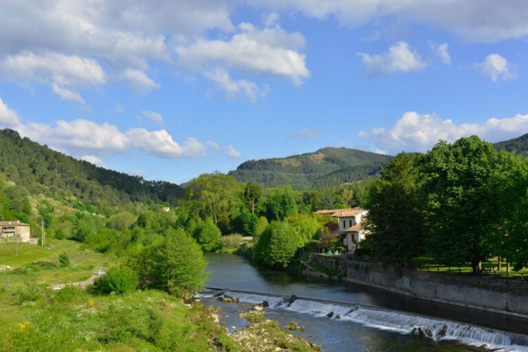 Marché de Saint-Jean-du-Gard : comment profiter pleinement de votre visite ?