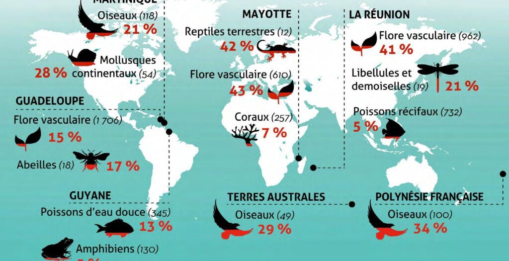 trouver des opportunités d’affaires à Tulle : impact du code postal sur votre stratégie de marché