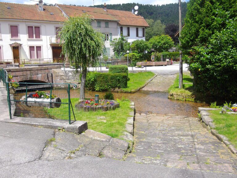 Comment le code postal de Chaumont influence-t-il l&rsquo;implantation des entreprises locales ?