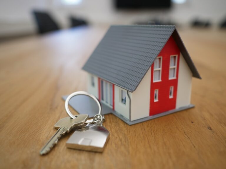 formation immobilier